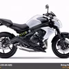 Kawasaki ER-6N ABS 2015 (New)