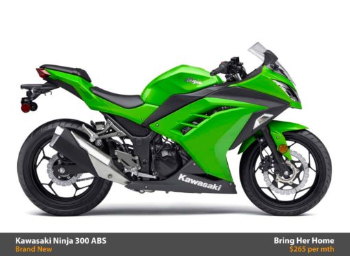 Kawasaki Ninja 300 ABS 2015 (New)