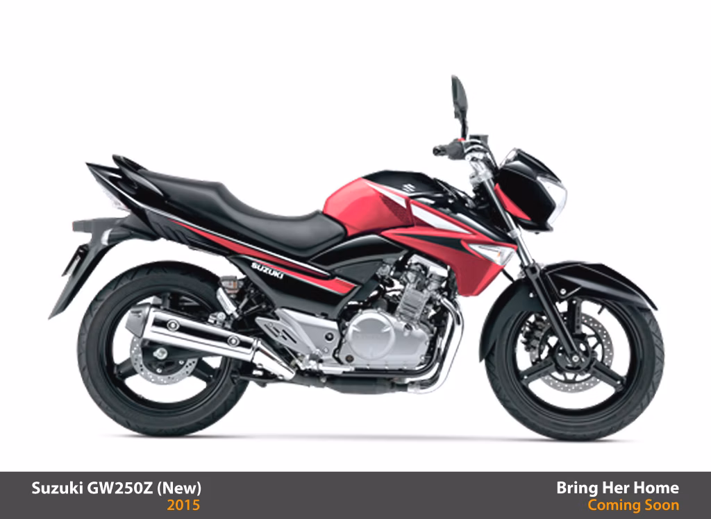 Suzuki GW250Z Non ABS 2015 (New)