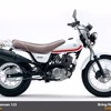 Suzuki Vanvan 125 Non ABS 2015 (New)