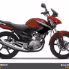 Yamaha YBR125 Non ABS 2015 (New)