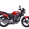 Honda GLS200 Tiger Non ABS 2016 (New)