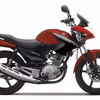 Yamaha YBR125 Non ABS 2015 (New)